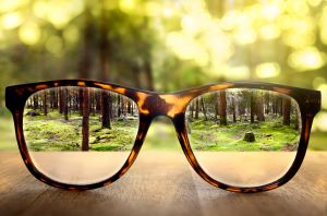 ökologische nachhaltige Brille
